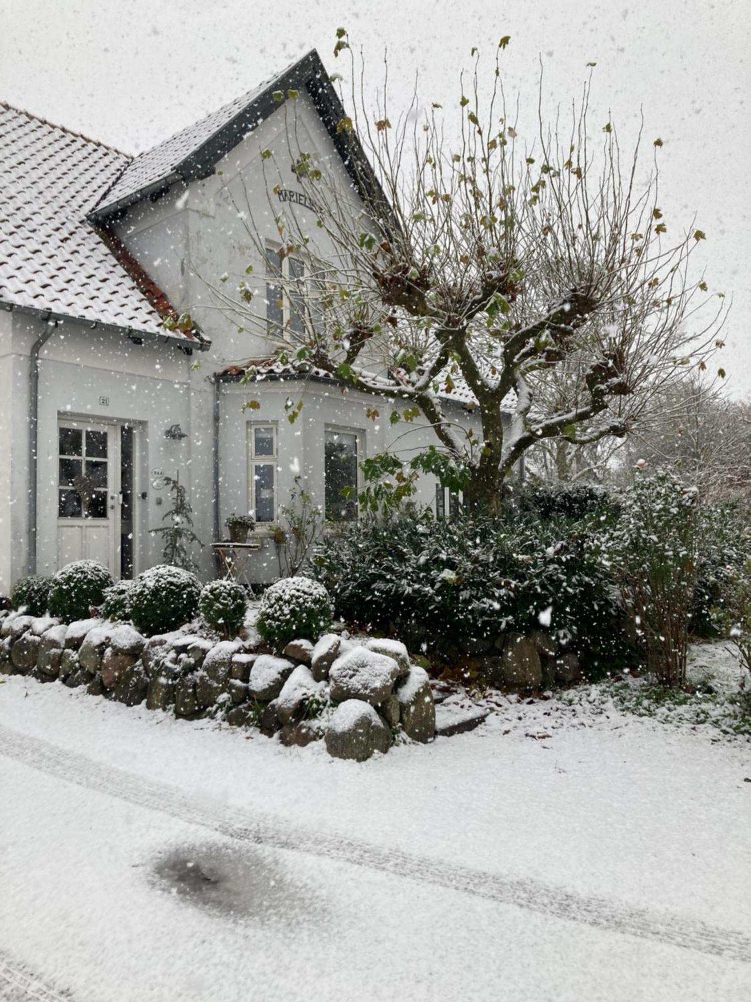 Marielyst B&B - Apartments * Naestved
