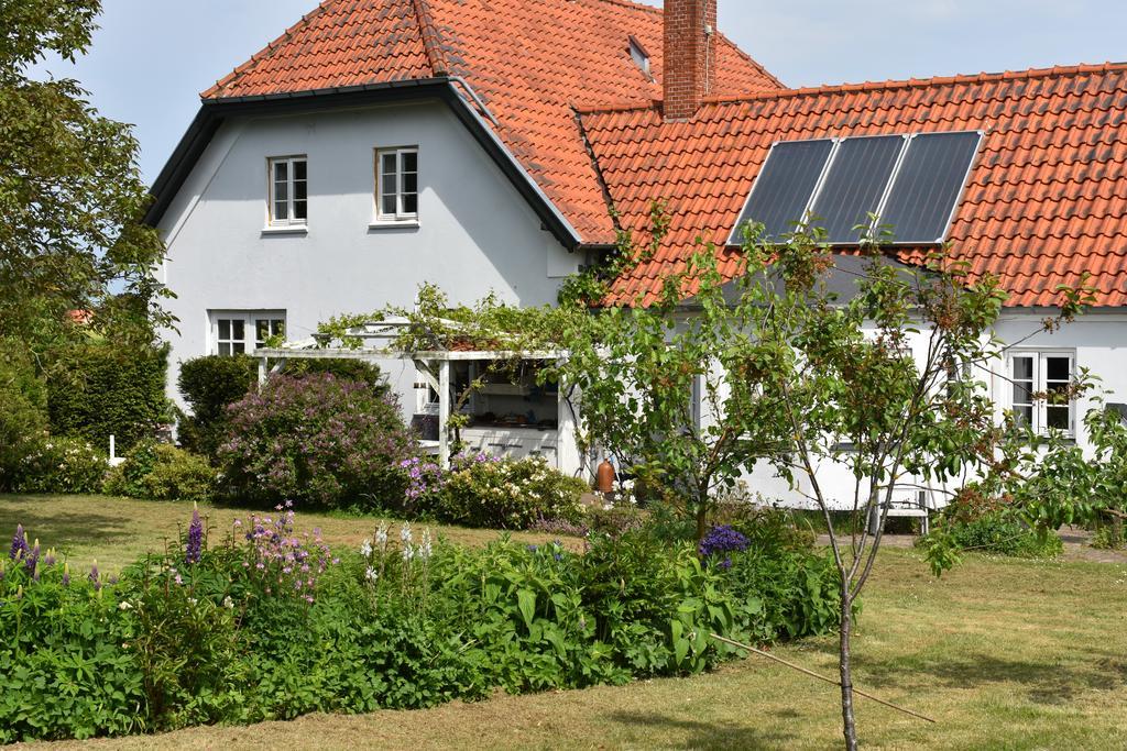 Marielyst B&B - Apartments * Naestved